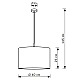 Подвесной светильник LightHall Blaze LH012070