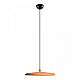 Подвесной светодиодный светильник Loft IT Plato 10119 Orange