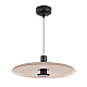 Подвесной светильник Arlight SP-KOTARO-R350-12W Warm2700 (BG-BG, 36 deg, 230V, TRIAC) 057229