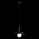 Подвесной светильник Loft IT Monro 10213/A Black