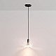 Подвесной светильник DeLight Collection MT8603 black