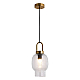 Подвесной светильник Lussole Loft Laredo LSP-8843