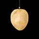 Подвесной светильник Loft IT Fionora 10531E