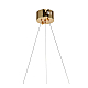 Подвесной светильник Zortes RINGER ZRS.57792.76