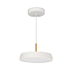 Подвесной светодиодный светильник Arlight SP-Elegant-R300-17W Day4000 033919(1)