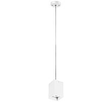 Подвесной светильник Lightstar RULLO RP336 (216336+590256)