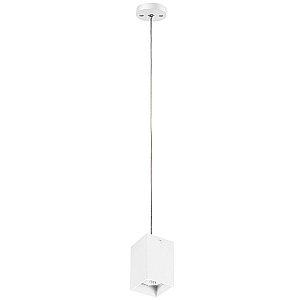 Подвесной светильник Lightstar RULLO RP336 (216336+590256)