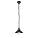 Подвесной светильник Arte Lamp Grazioso A4577SP-1CK