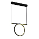 Подвесной светильник Delight Collection LED Ring SS-L0834P-20W