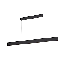 Подвесной светодиодный светильник Arte Lamp A2505SP-2BK