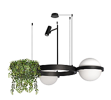 Подвесная люстра Loft IT Jardin 10121/2