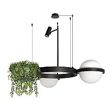 Подвесная люстра Loft IT Jardin 10121/2