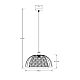 Подвесной светильник Arte Lamp WOODSTOCK A7071SP-1BK