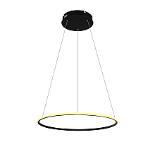 Подвесной светодиодный светильник Arte Lamp A2500SP-1BK