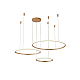 Подвесной светильник Zortes RINGOLIGHT ZRS.33320.75F