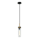 Подвесной светильник Lussole LOFT Blount LSP-8866