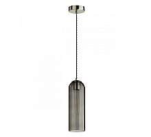 Подвесной светильник Odeon Light 4805/1