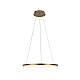 Подвесной светодиодный светильник Loft IT Ring 10014M