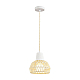 Подвесной светильник Lumion Boho Eco 8368/1B