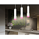 Подвесной светильник Ambrella Light Techno XP7421003 (A2301, C6355, A2030, C7421, N7193)
