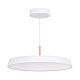 Подвесной светильник Arlight SP-ELEGANT-R500-37W Day4000 (WH, 120 deg, 230V) 033924(1)