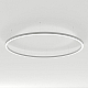 Светильник Arlight SP-LINE-HANG-ARC-O3535-D3000-204W Day4000 (WHITE, 230V) (Металл) 034077(2)