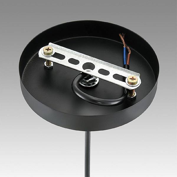 Светильник подвесной Lumion Suspentioni 8052/1A