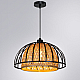 Подвесной светильник Arte Lamp WOODSTOCK A7071SP-1BK
