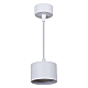 Подвесной светильник Reluce 53006-0.9-001LD GX53 WT