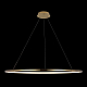 Подвесной светодиодный светильник Loft IT Ring 10014XXL