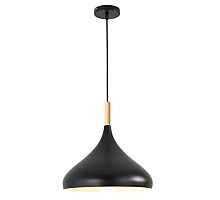 Подвесной светильник TopDecor Molto S1 12
