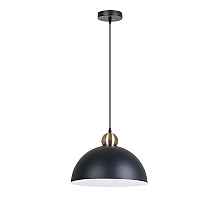 Подвесной светильник Arte Lamp Recinto A7053SP-1BK
