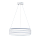 Подвесной светодиодный светильник Lumion Ledio Felisiti 8104/38L