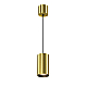 Подвесной светодиодный светильник Maytoni Technical Vol P100PL-20W3K-BS