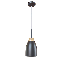 Подвесной светильник LOFT IT Watchman Loft4402A-Bl