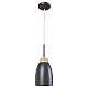 Подвесной светильник Loft IT Watchman Loft4402A-Bl