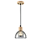 Светильник подвесной Lumion Suspentioni 8053/1A
