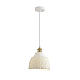 Подвес Lumion CANESTRA 8350/1A