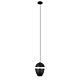 Подвесной светильник Loft IT Viterbo 10336 Black
