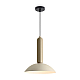 Подвесной светильник Freya Modern FR5551PL-01CR