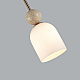 Подвесной светильник Odeon Light Lolla Midcent 6625/1B