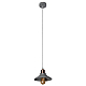 Подвесной светильник Arte Lamp A5067SP-1GY