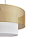 Подвесной светильник Freya Modern FR5528PL-01BS