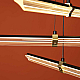Подвесной светильник Freya Modern FR5557PL-L22B1