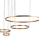 Подвесной светодиодный светильник Loft IT Ring 10017/4L