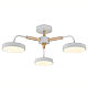 Подвесной светильник Escada Kaori 10270/3LED