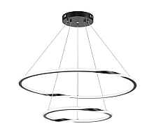 Подвесная люстра Arte Lamp Veritate A2211SP-2BK