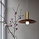 Подвесной светильник Imperium Loft Wood 141158-26