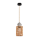 Подвесной светильник Lumion Boho Eco 8366/1A