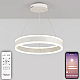 Подвесной светильник Natali Kovaltseva Laud LED LAMPS 81187